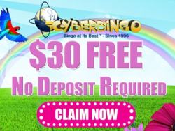 CyberBingo No deposit Bonus Codes